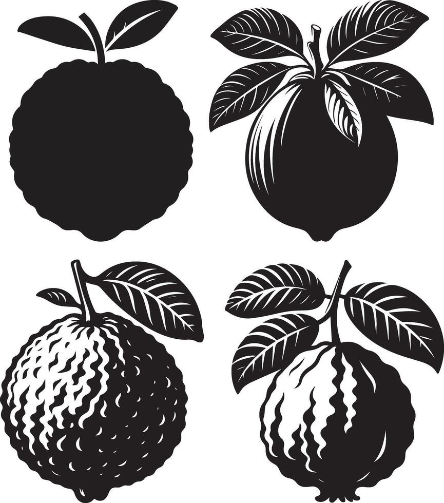 Guava silhouette set illustration and white background vector