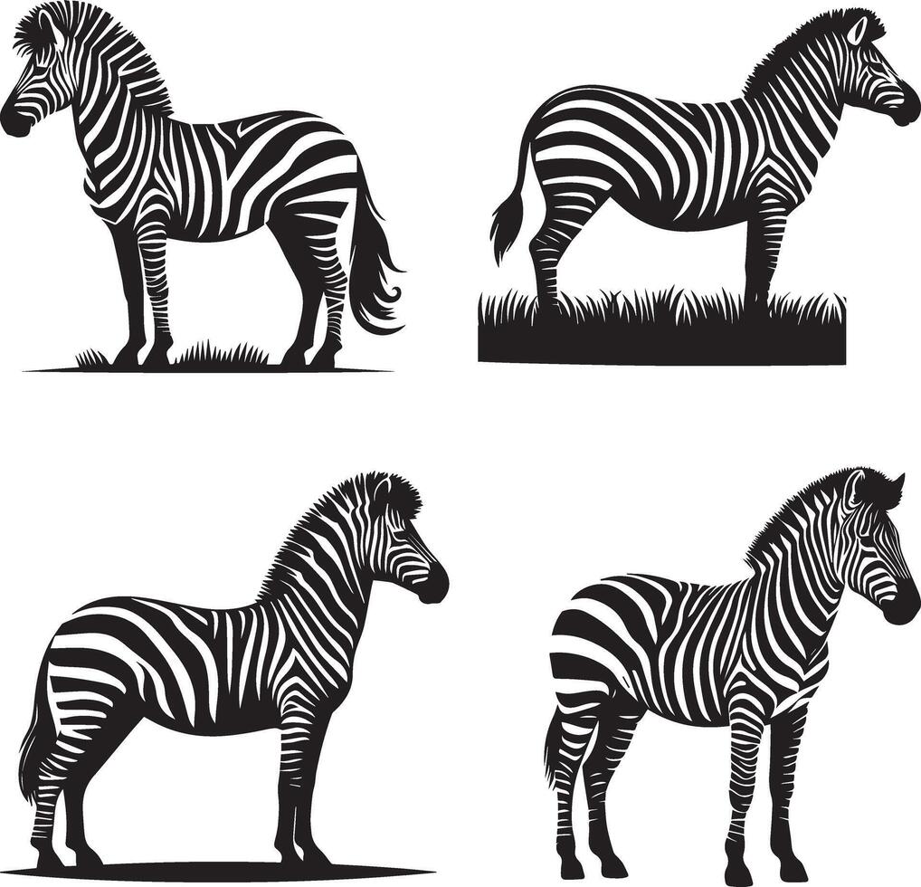 Zebra silhouette illustration and white background vector