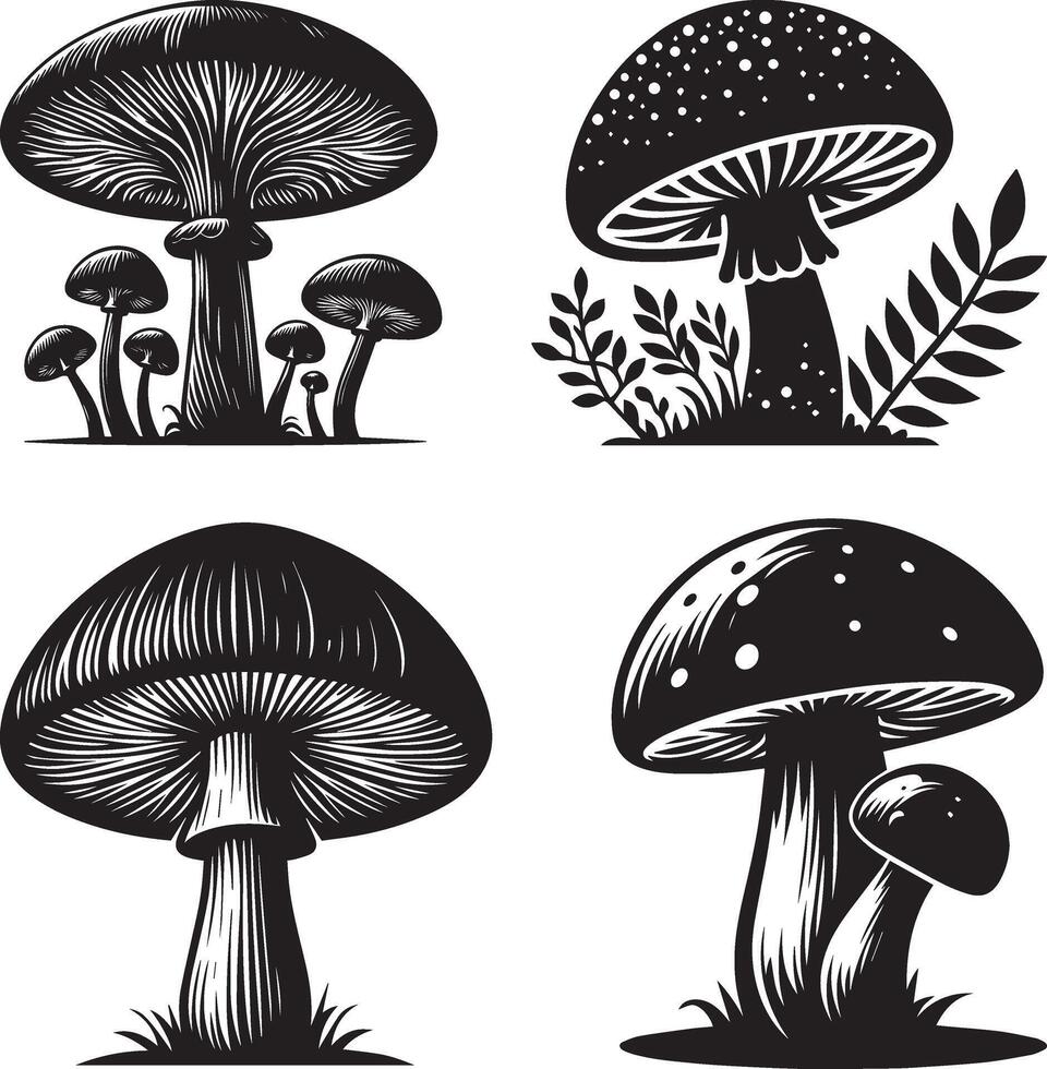 Mushroom silhouette illustration bundle and white background vector