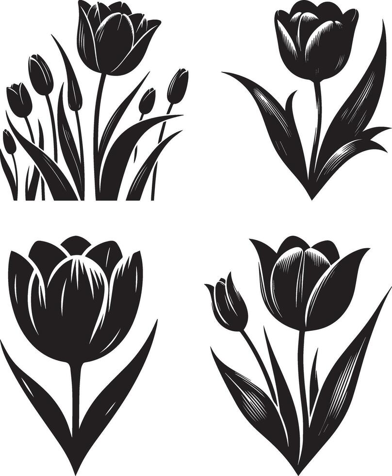 Tulip silhouette illustration bundle and white background vector