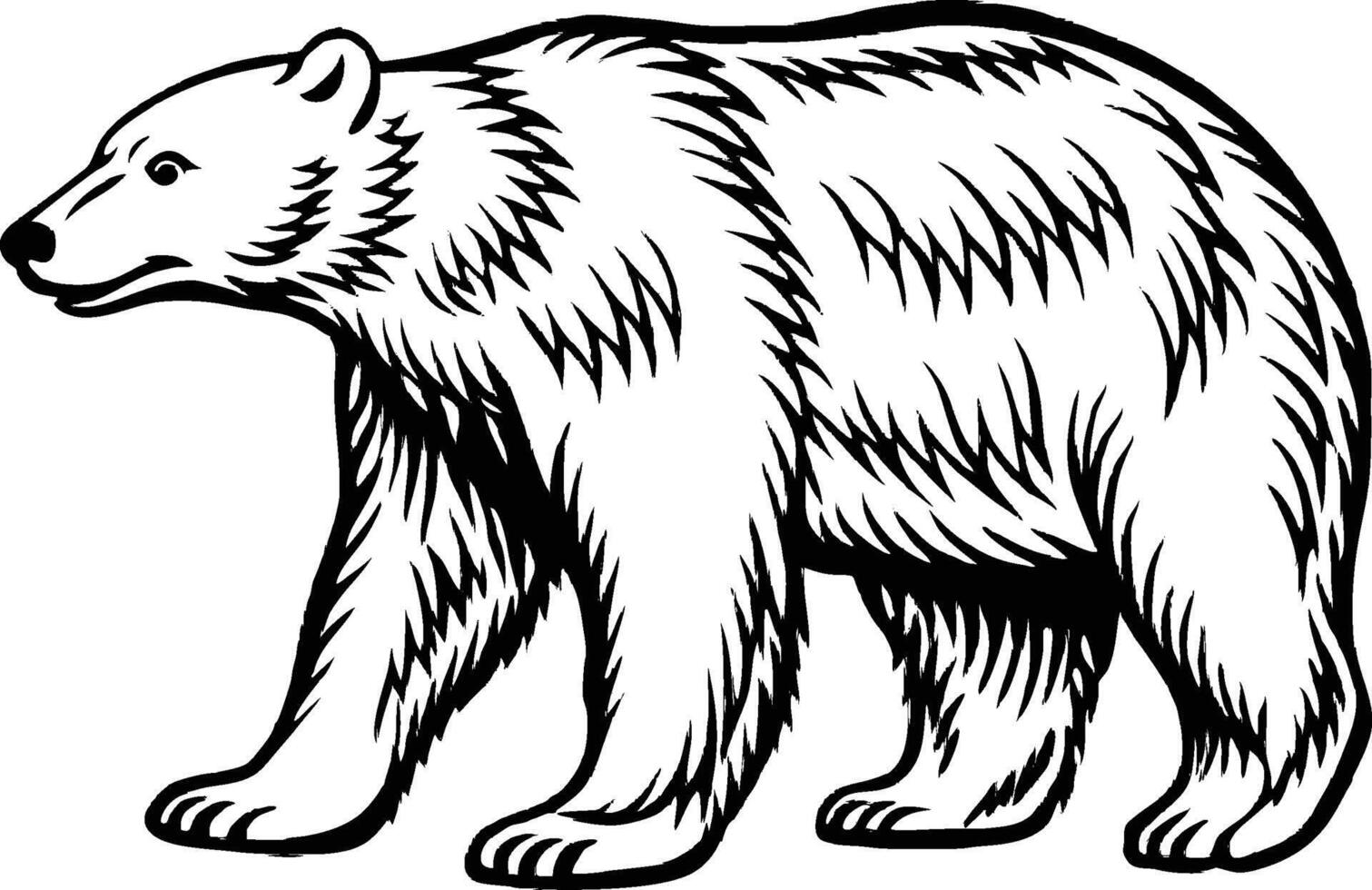 Black and white illustration, grizzly bear, detailed fur texture, woodcut style, strong line work, profile view, majestic pose, wildlife art, monochrome drawing vector