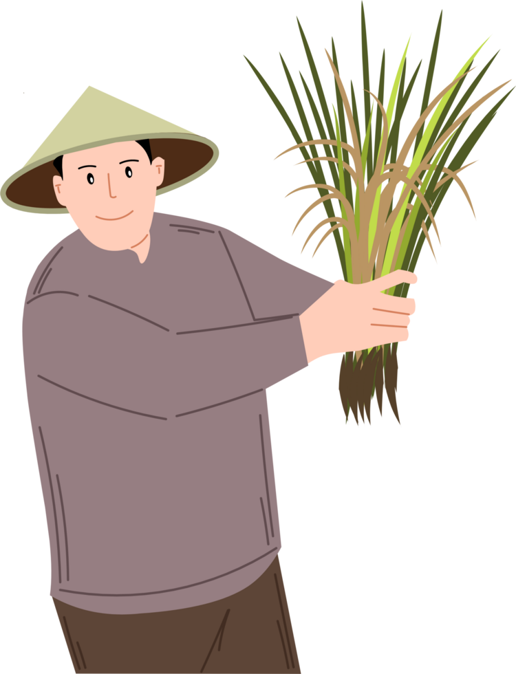 A farmer harvests rice clipart drawing png