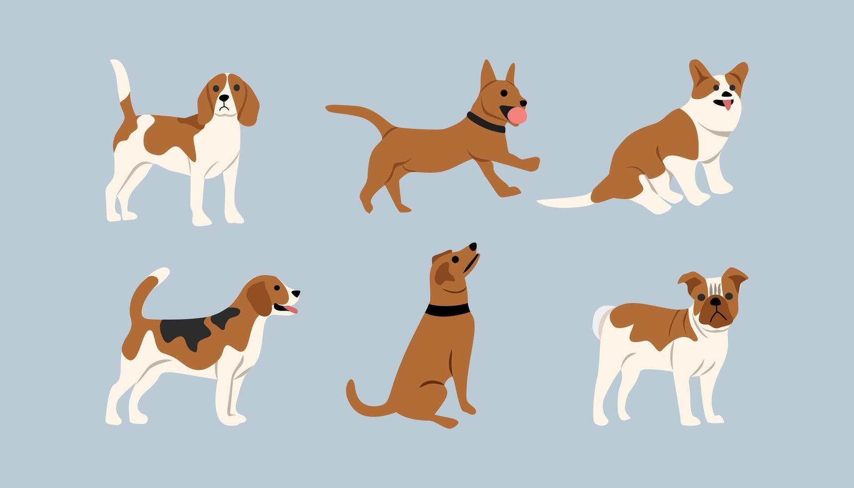 Collection of dog. Set of dog illustration. Cute dog. Dog in different style. Various type of dog. Charles king spaniel. Beagle. Bulldog. Welsh corgi. Dachshund. vector