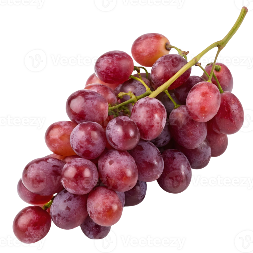 Freshly harvested red grapes on a vine ready for enjoyment or processing in a sunny orchard png