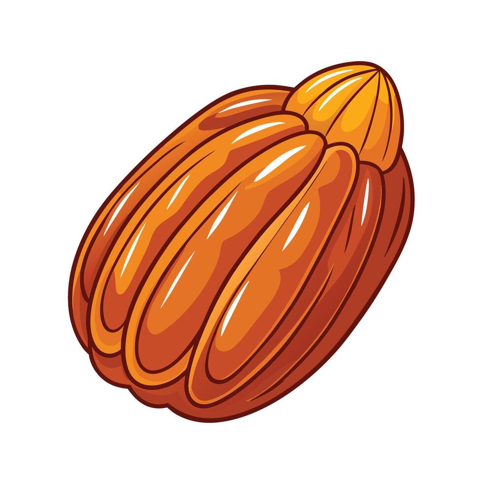 cocoa pod isolated illustration on white background vector