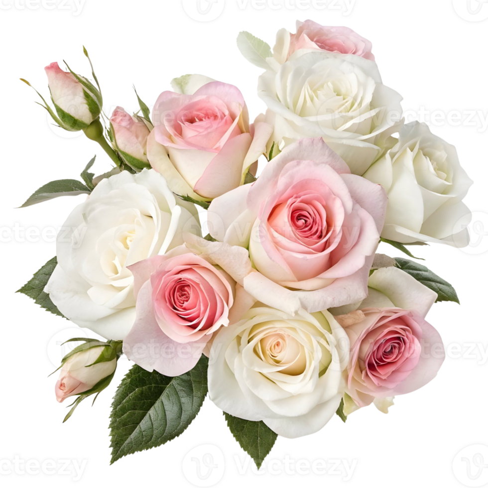 Beautiful bouquet of soft pink and white roses arranged elegantly for a special occasion in a bright setting png