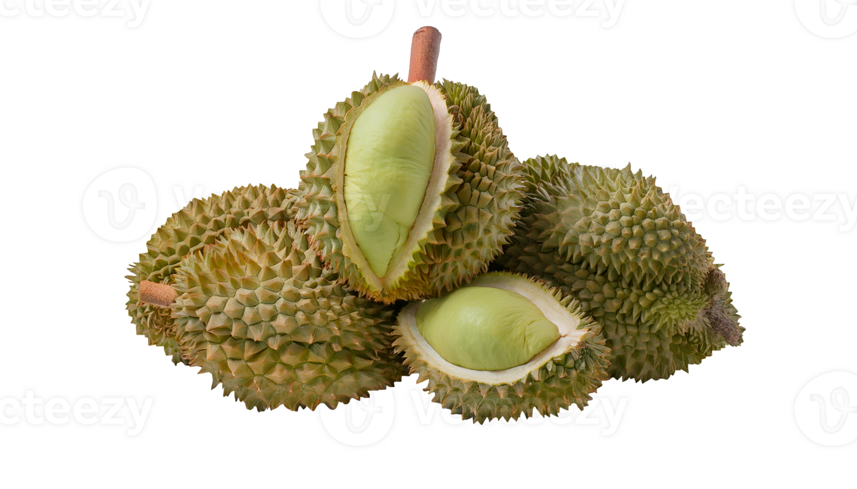 pile of fresh durians with cut-open pieces on isolated background, spiky tropical fruit with creamy yellow flesh, whole and halved durians arranged, southeast asian exotic delicacy png