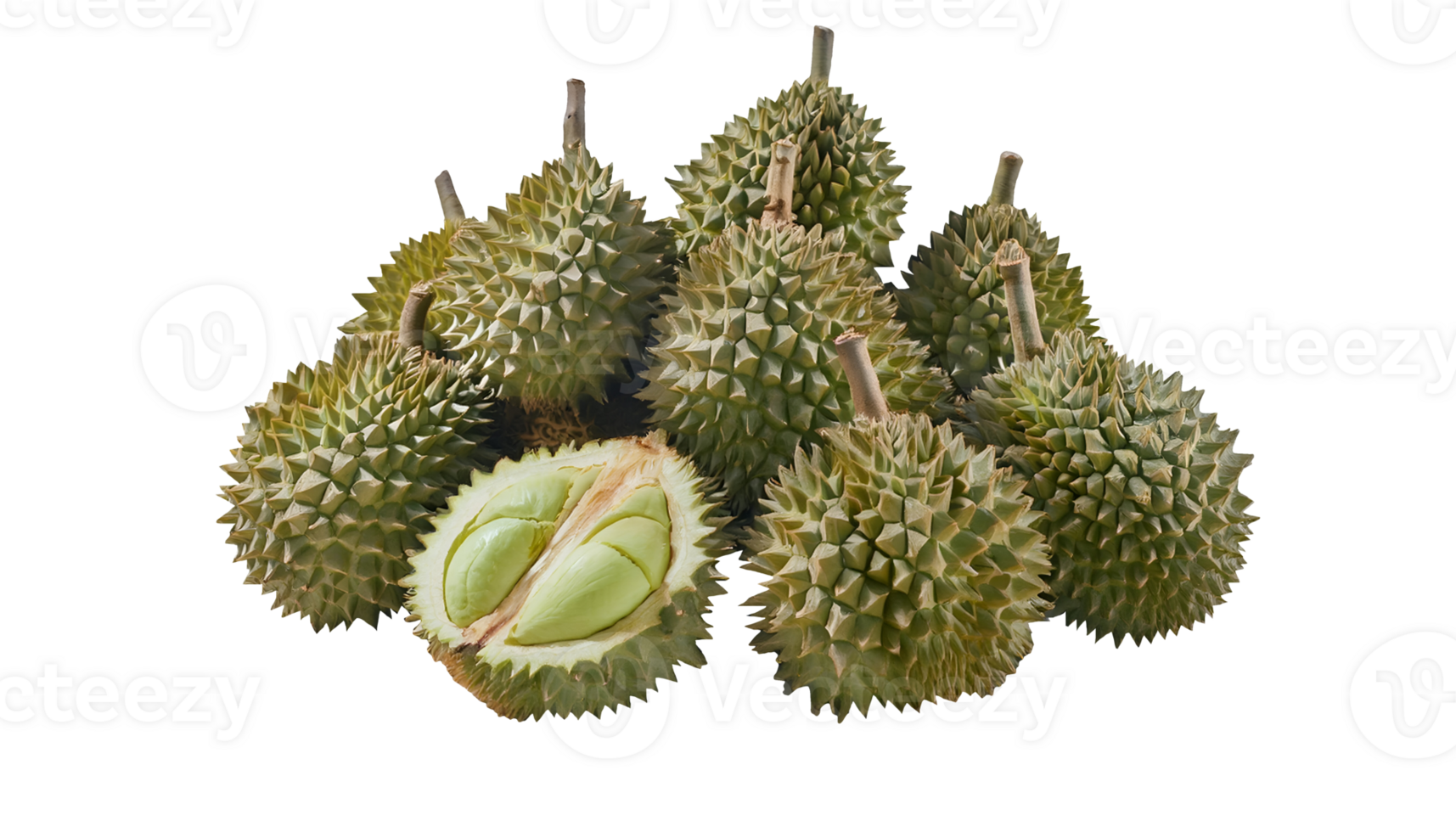 pile of fresh durians on isolated background, tropical king of fruits with thorny green shell, whole and half-cut durian showing creamy yellow flesh, exotic southeast asian delicacy png