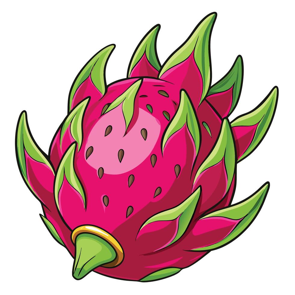 dragon fruit, cartoon illustration vector