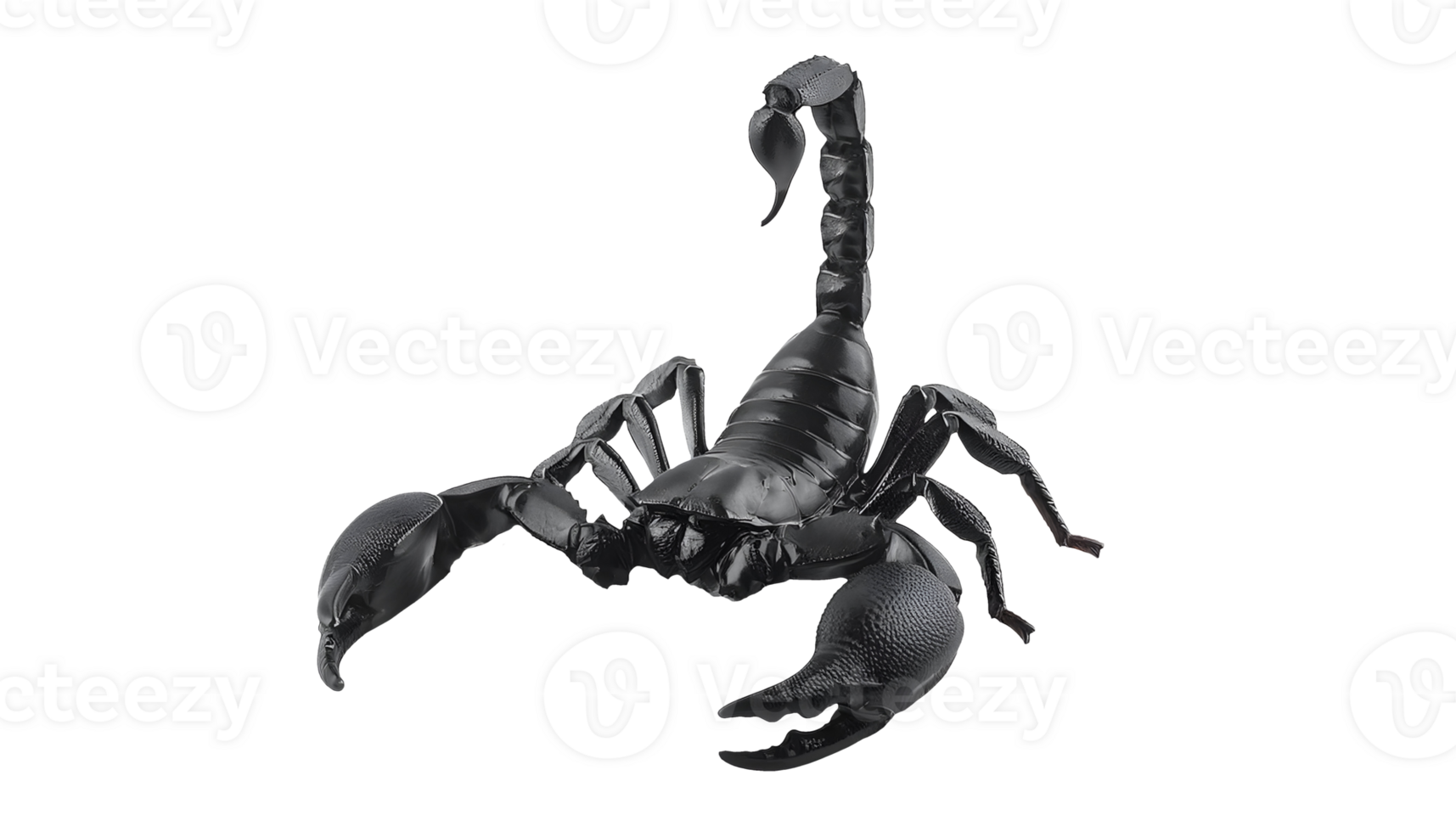 a black scorpion on isolated background png