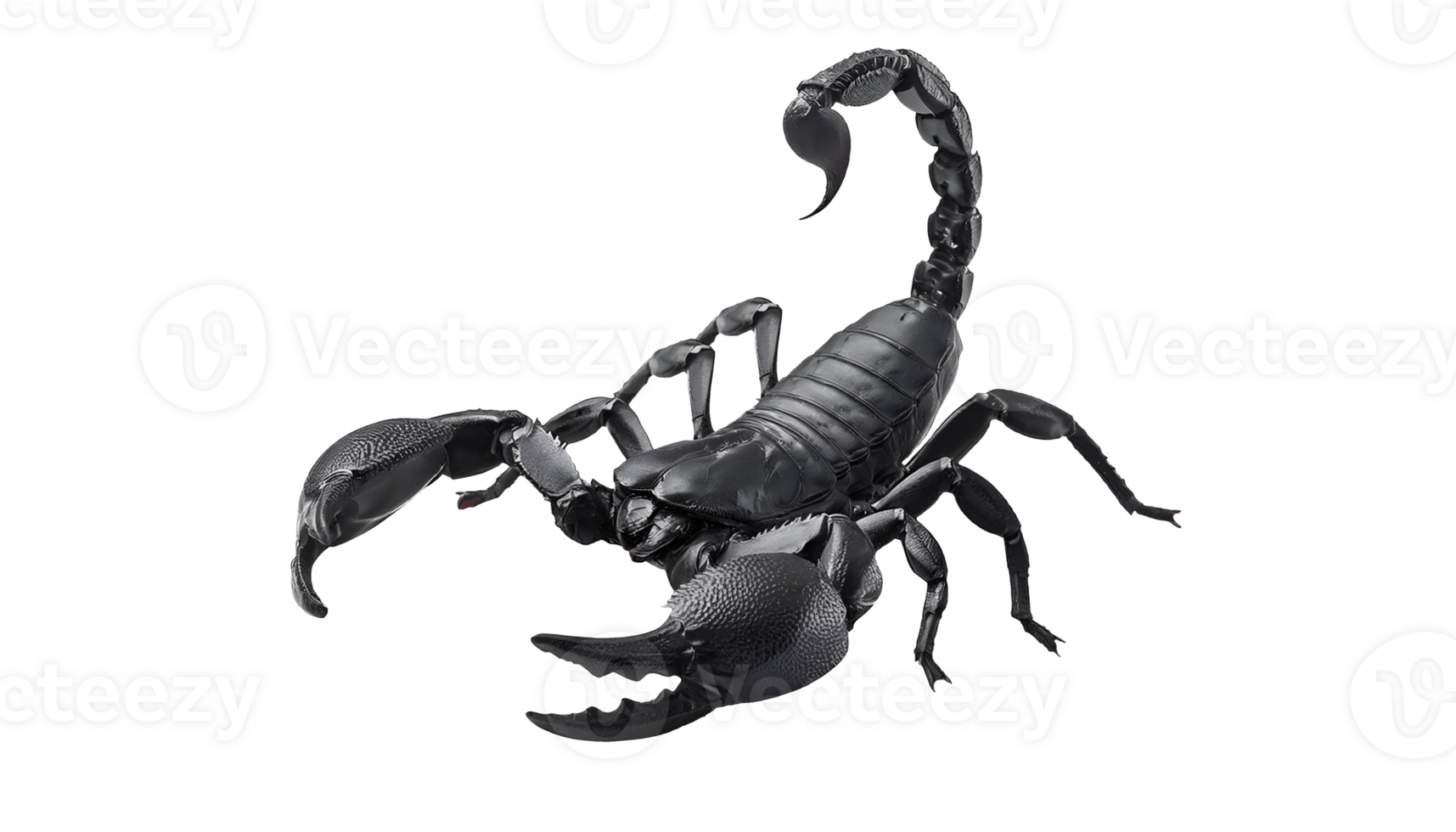 photo of a realistic 3d render of a black scorpion on isolated background png