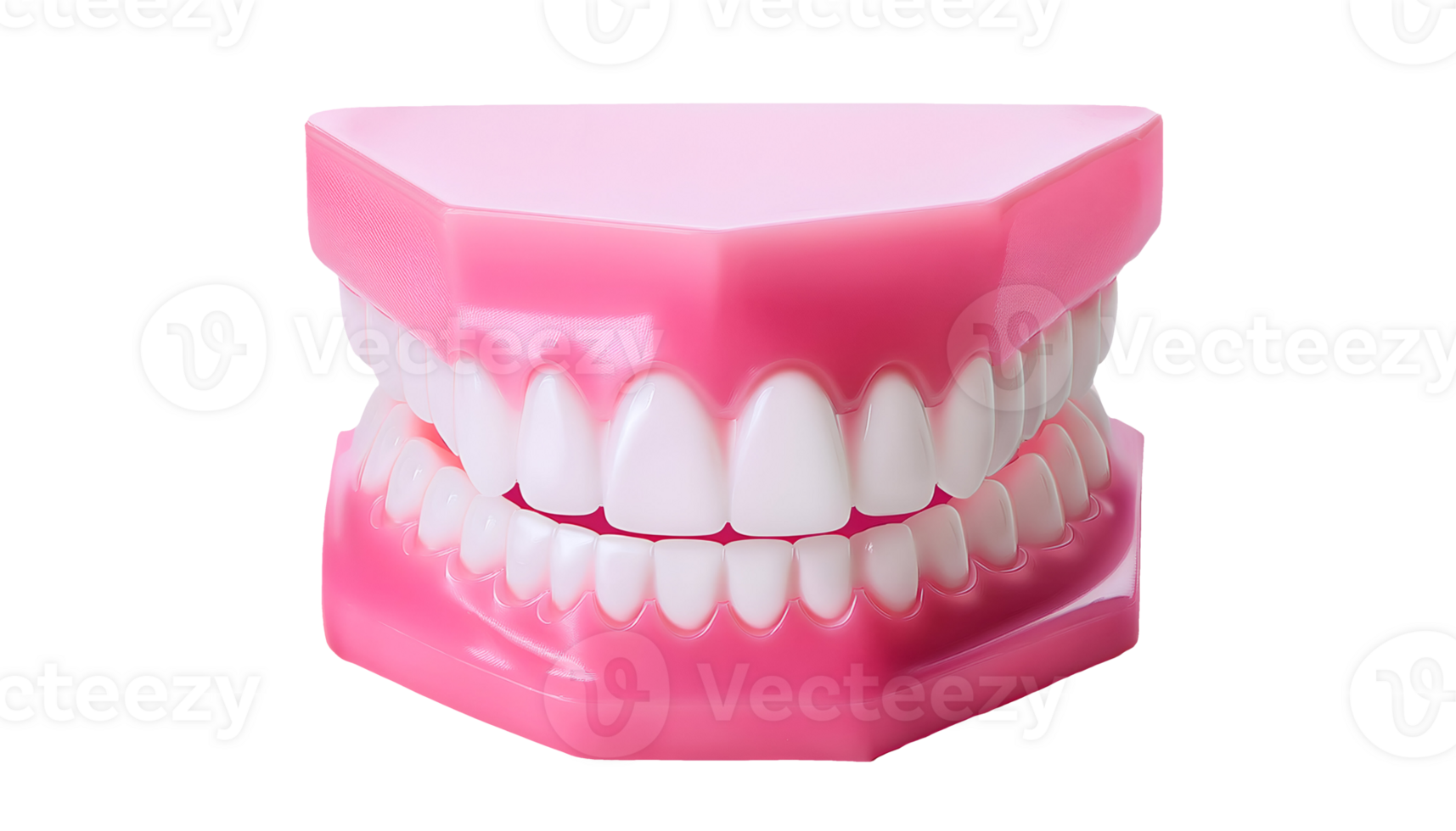 realistic 3d render of a pink dental model on isolated background png