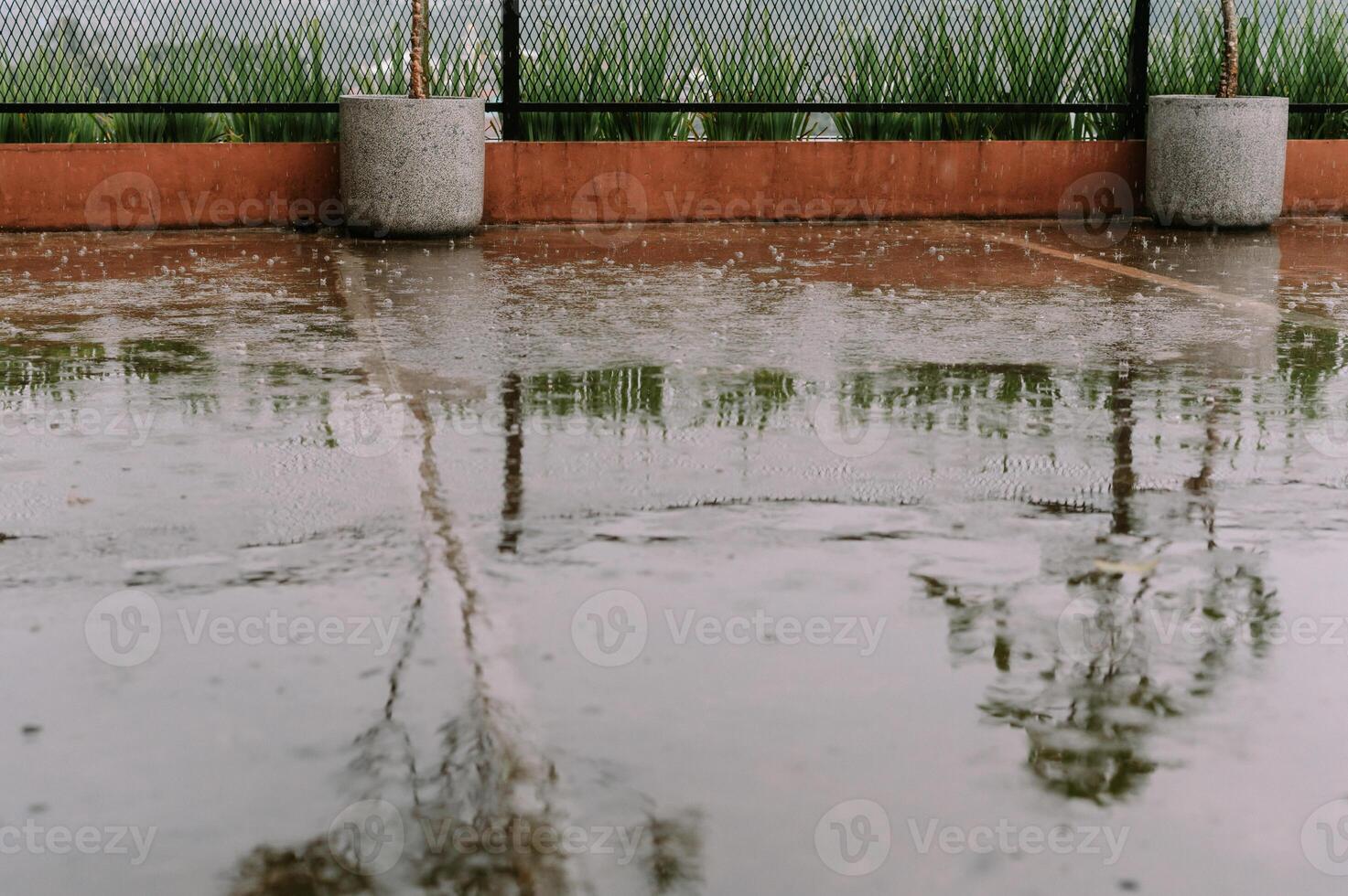 Rainy reflections creating a serene ambiance in an outdoor space photo