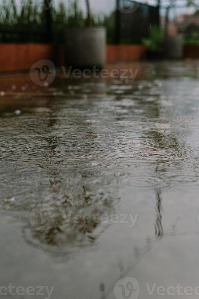 Rhythmic Raindrops Reflecting Serenity on a Concrete Surface Scene photo