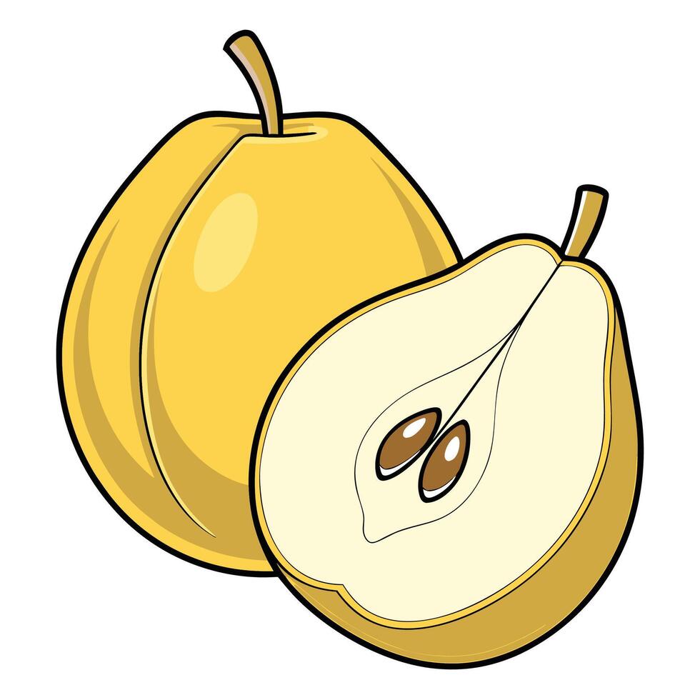 a pear is shown with a slice cut in half vector