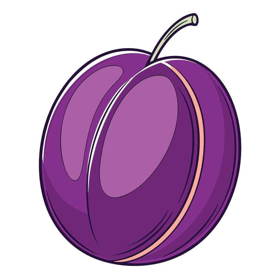 a purple plum fruit on white background vector