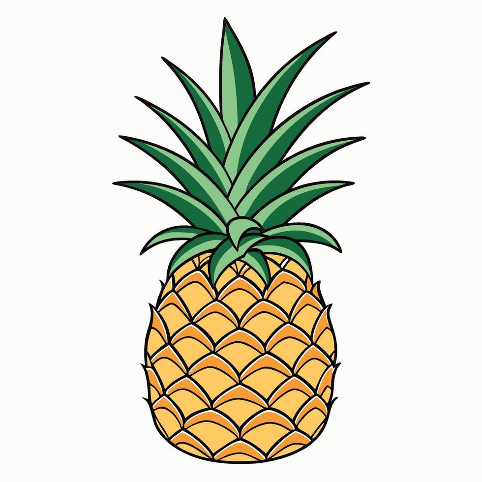 a pineapple is shown white background vector