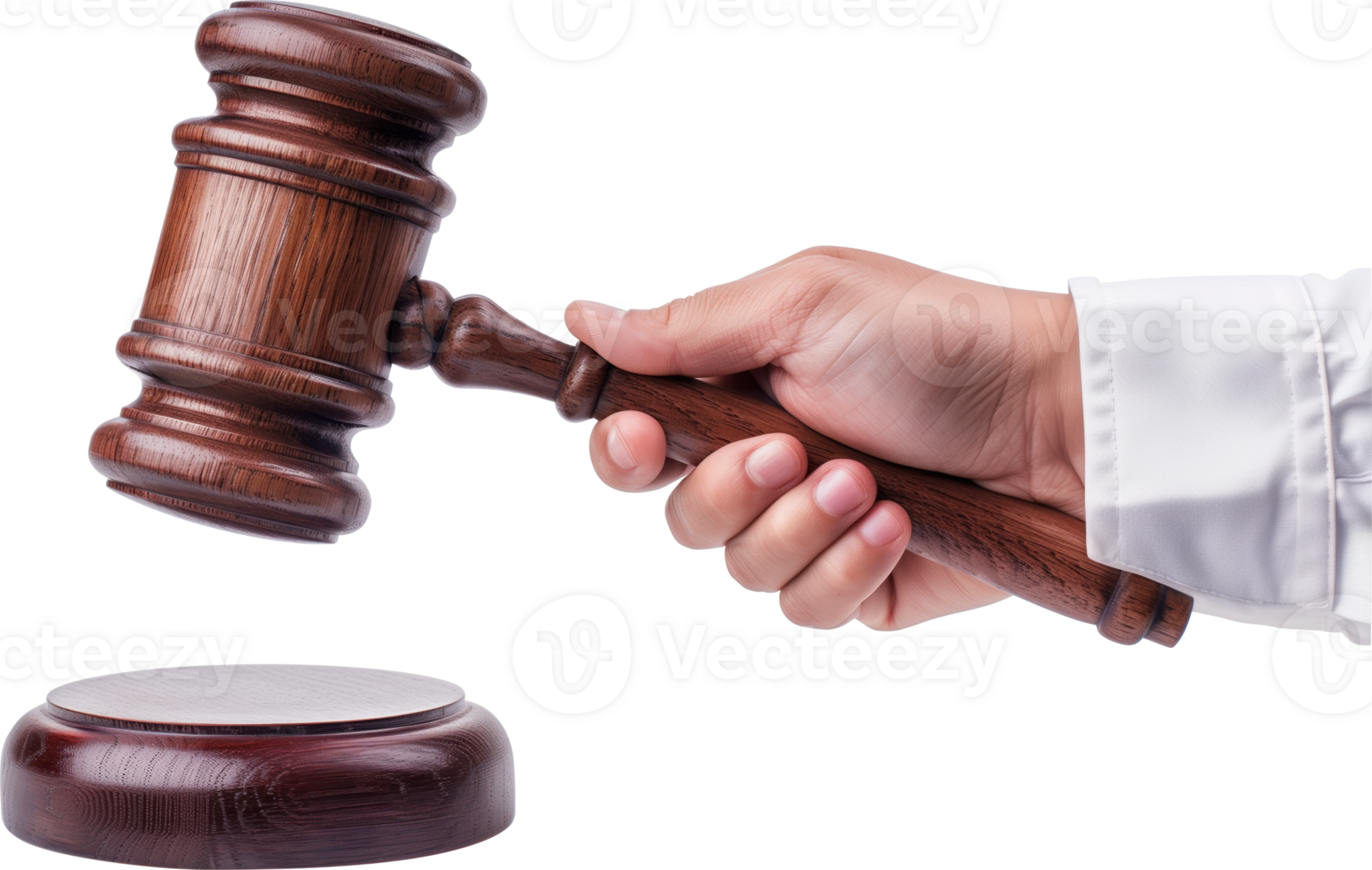 Hand holding a gavel png