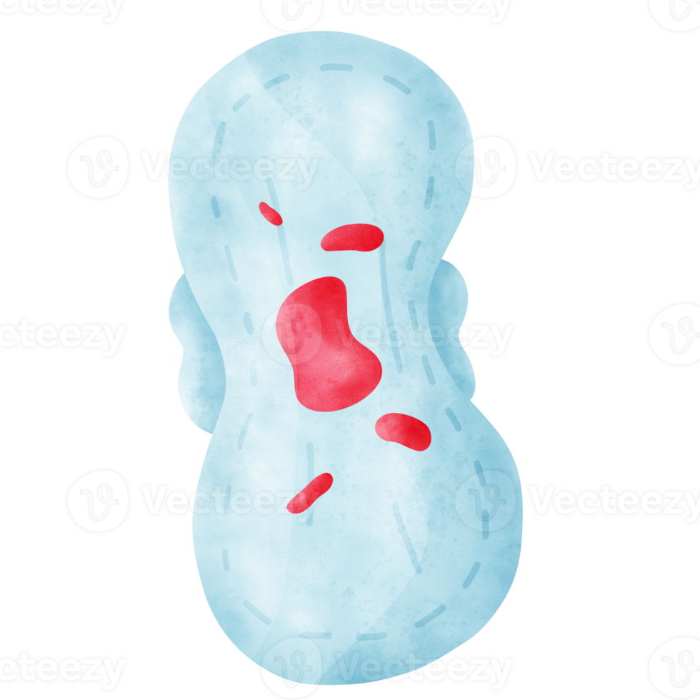 Sanitary Napkin in watercolor png