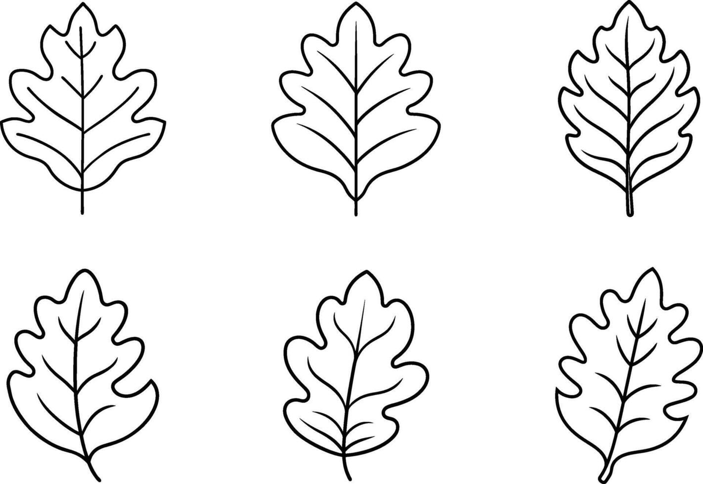 Set of Oak Leaf Outline Illustrations - Minimalist Black Pack vector