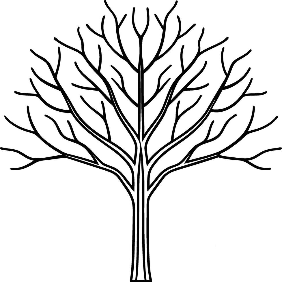 Elegant Bare Tree Line Art - Minimalist Leafless Tree Illustration vector