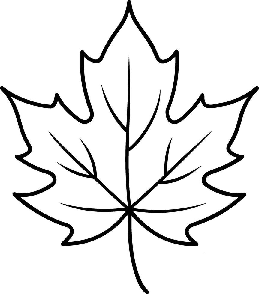 Maple Leaf Outline Illustration - Simple Autumn Leaf Silhouette vector