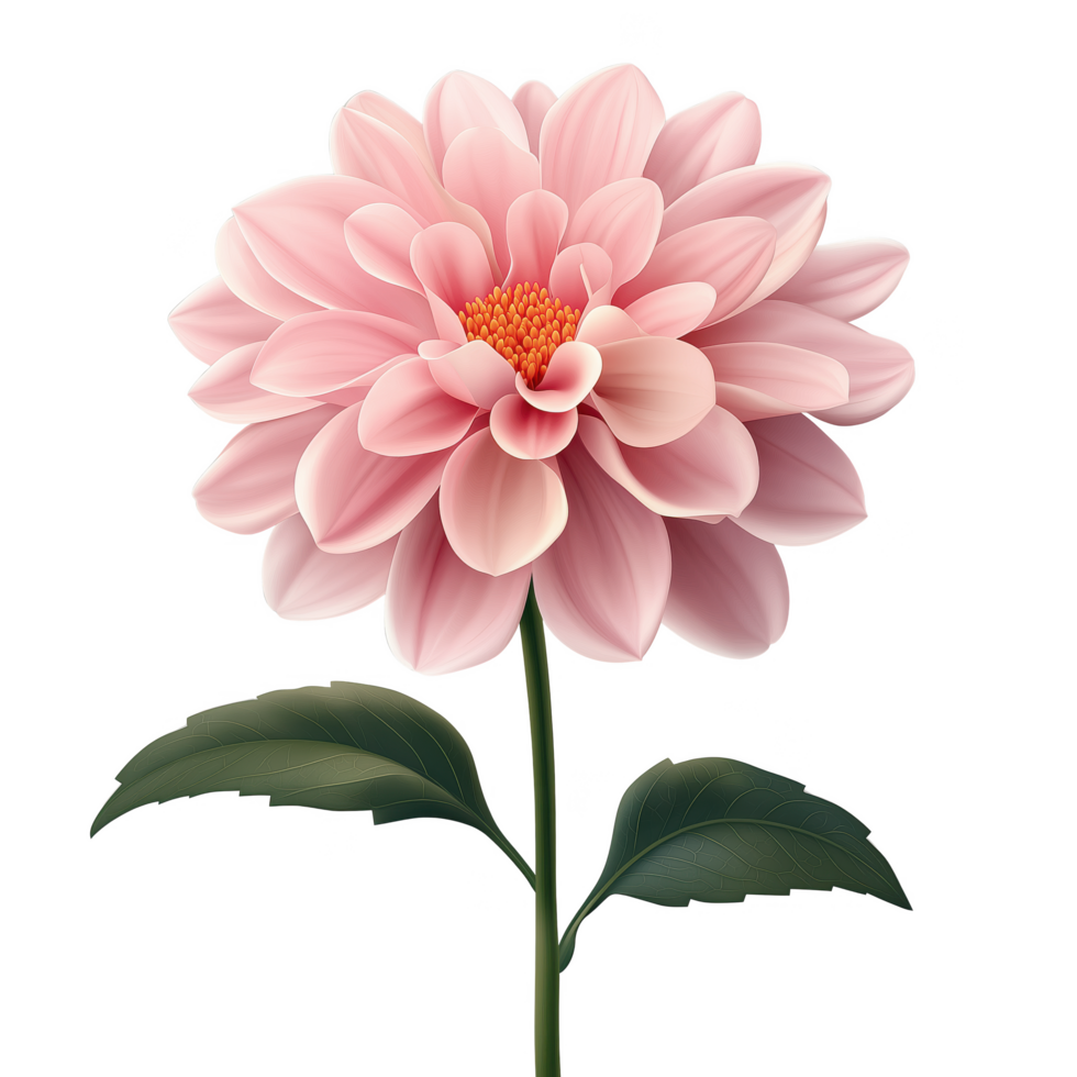 A pink flower with a green stem and leaf png
