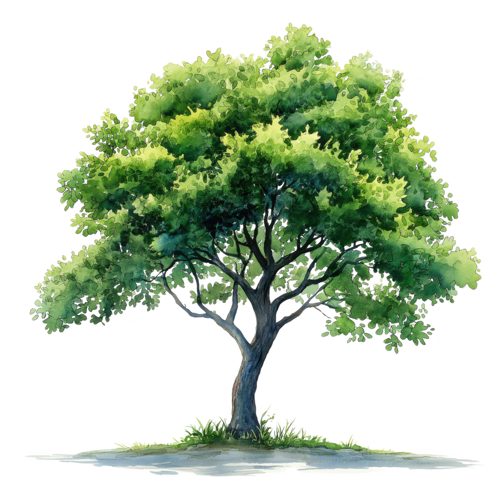A large tree with green leaves is the main focus of the image. png