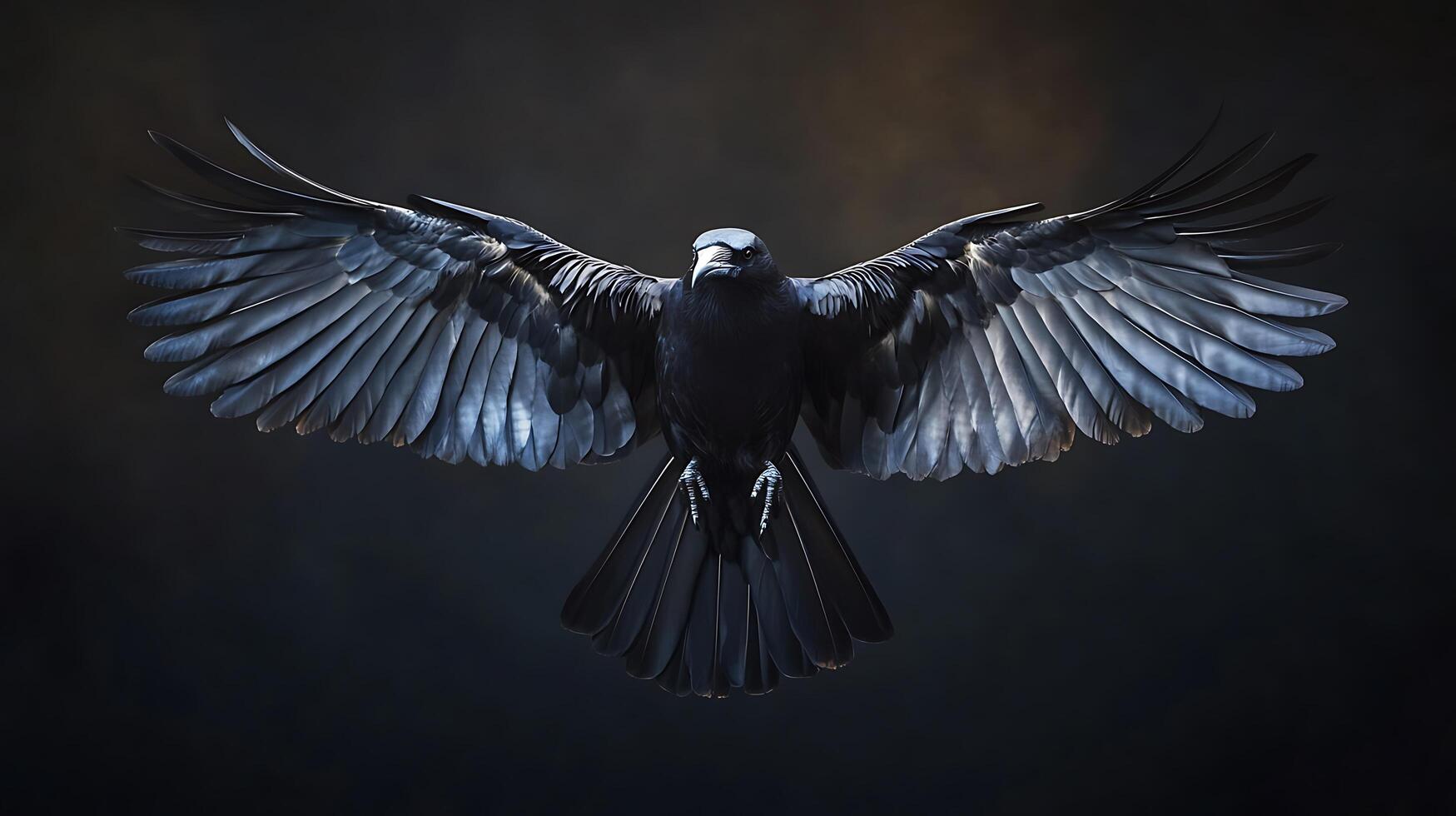 Majestic crow with open wings against a dark background, showing its impressive wingspan and feathers detail. The crow stands still. photo