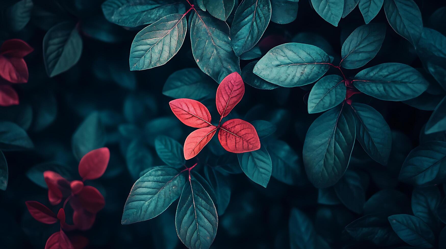 Deep teal and crimson foliage create a moody, natural contrast. Rich colors capture an organic aesthetic. Close-up botanical detail. photo