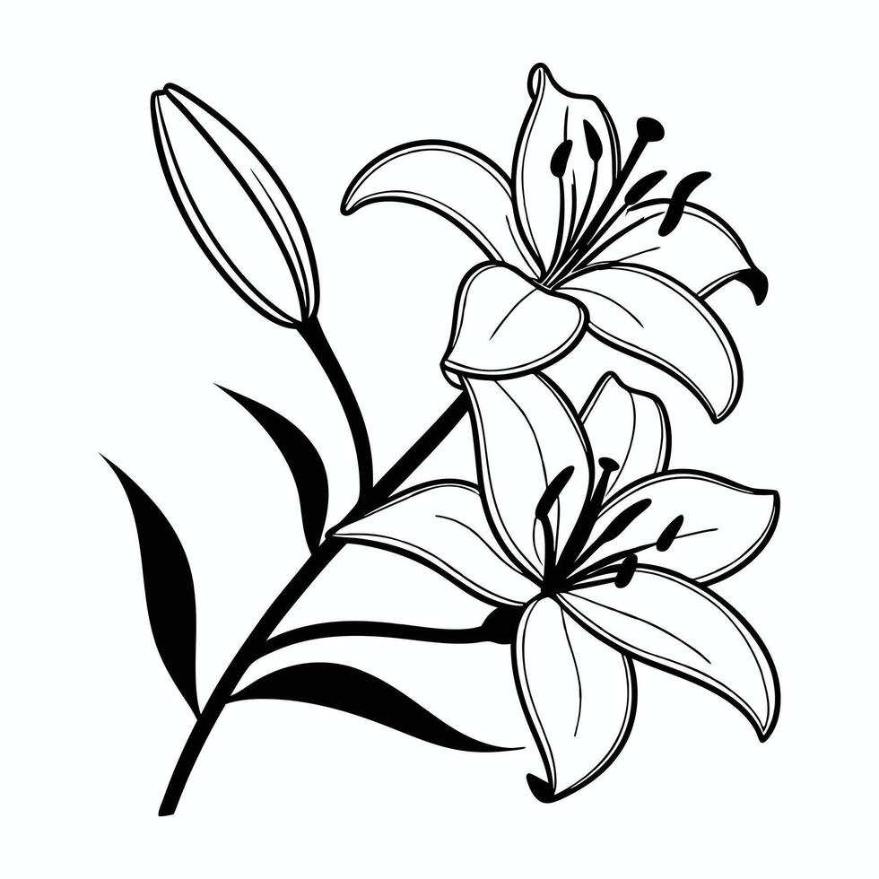 Ornamental Botanical Sketch of Lilies vector