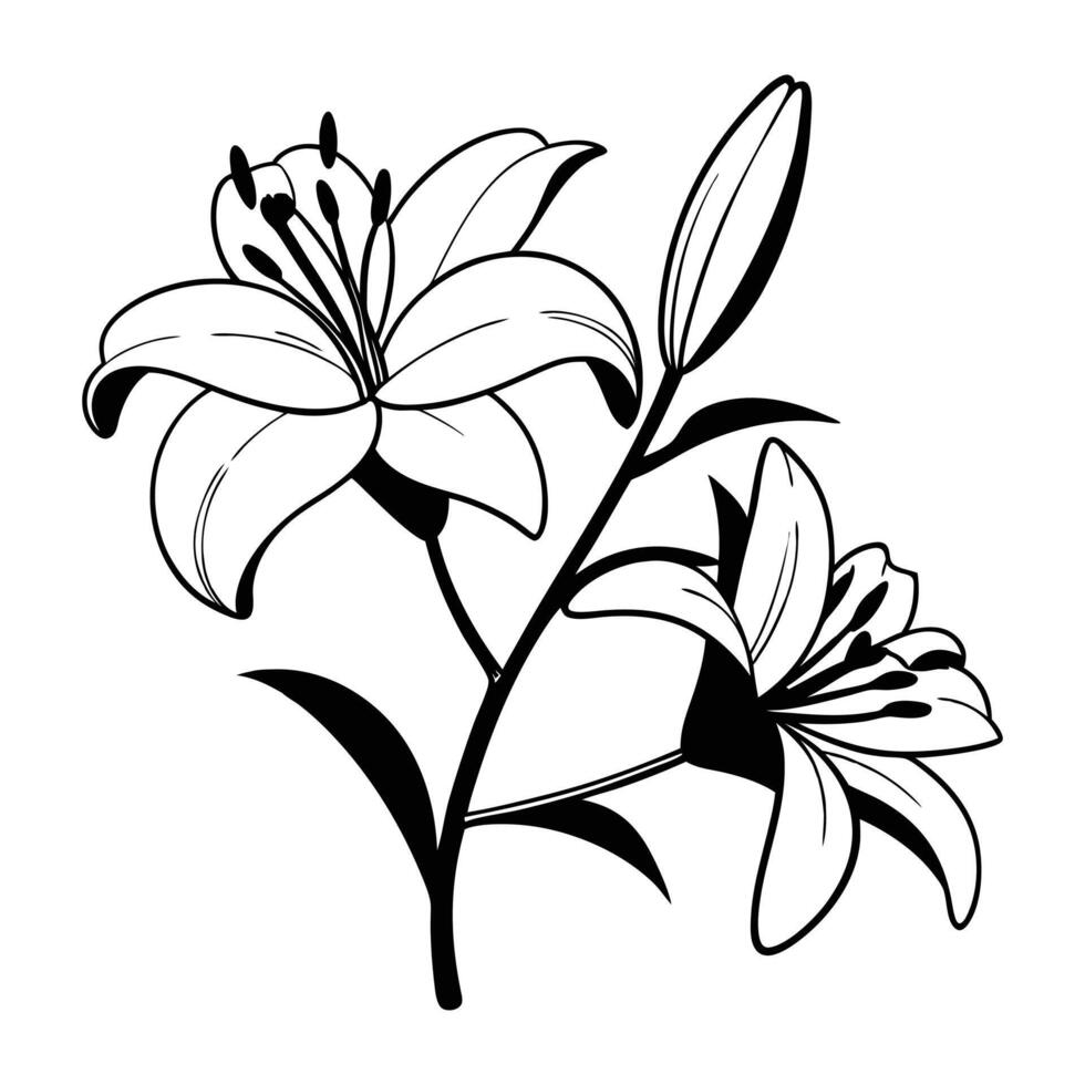 Elegant Lily Bloom in Monochrome Art vector