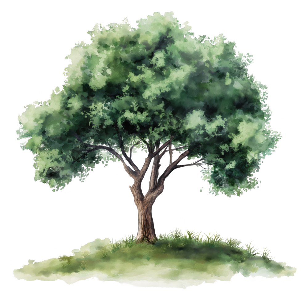 A tree is depicted in a watercolor painting, with its branches reaching out png