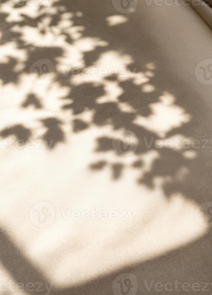 Shadow of leaves on the wall. Abstract background. Black and white. Leaf Shadows on Beige Wall photo