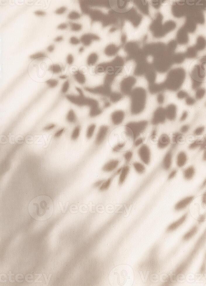 Shadow overlay effect on white concrete wall. Abstract background and texture for design. Leaf Shadows photo