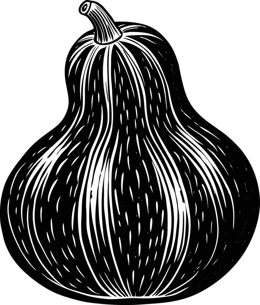 A black and white drawing of a butternut squash vector