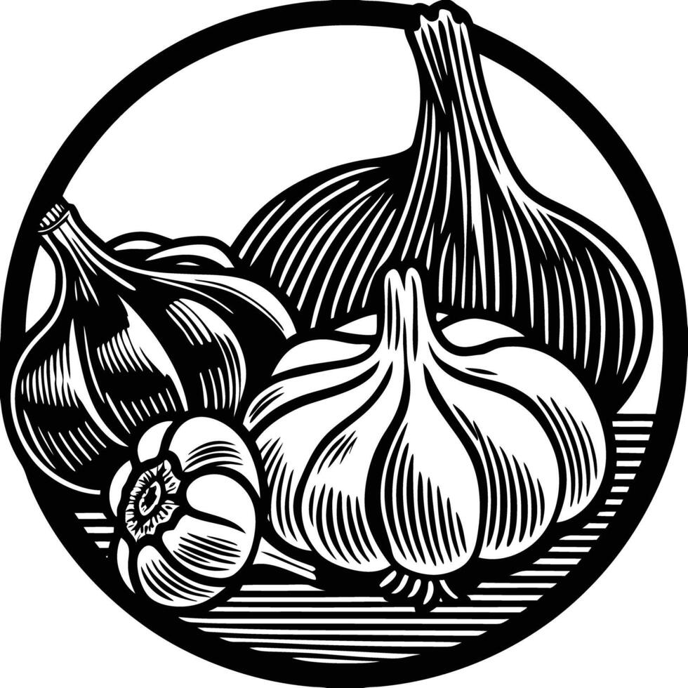 Garlic illustration artwork vector
