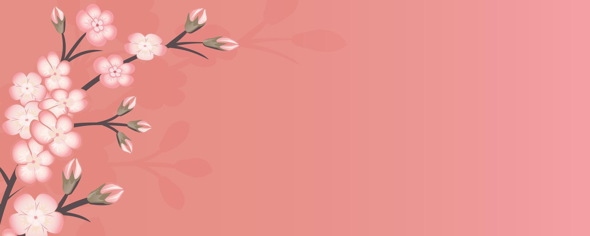 Spring background with sakura branch, cherry blossom branch on pink background. vector