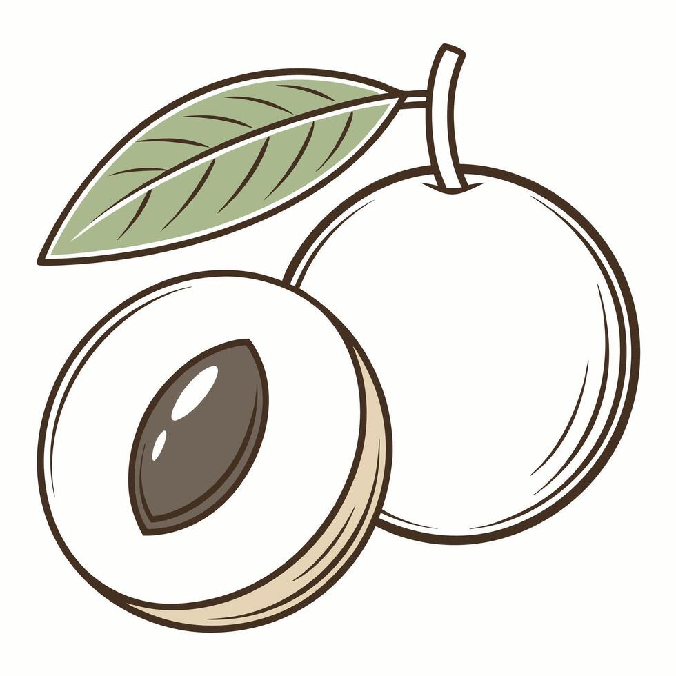 a peach with leaves and a half eaten fruit vector