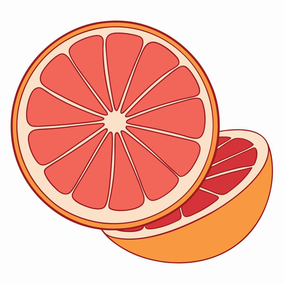 grapefruit cut in half on a white background vector