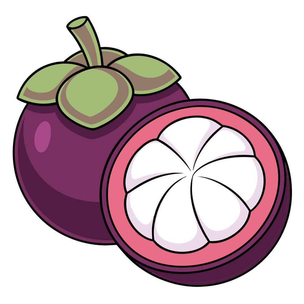 a purple grapefruit with a green leaf on it vector