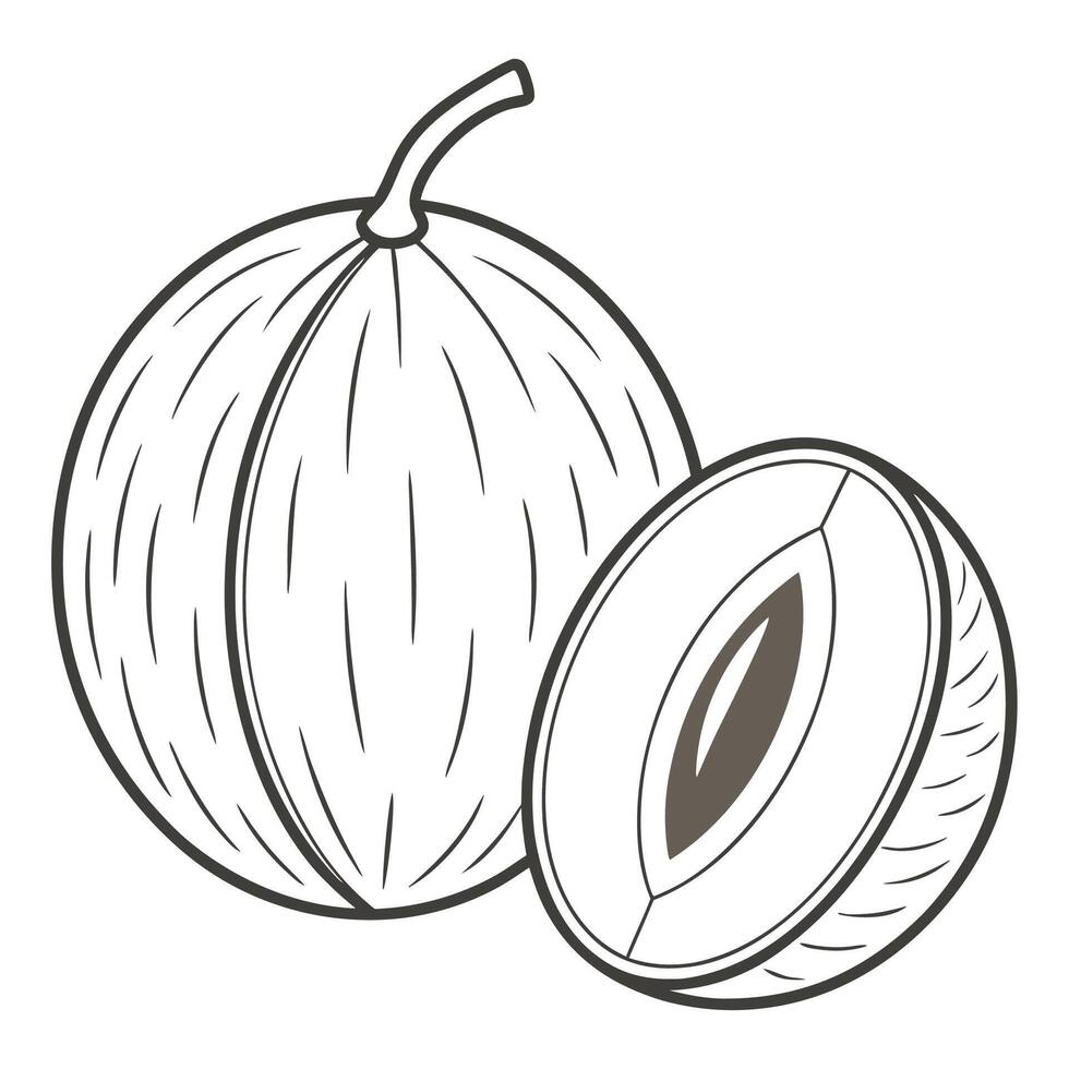 a drawing of a fig and a half eaten fruit vector
