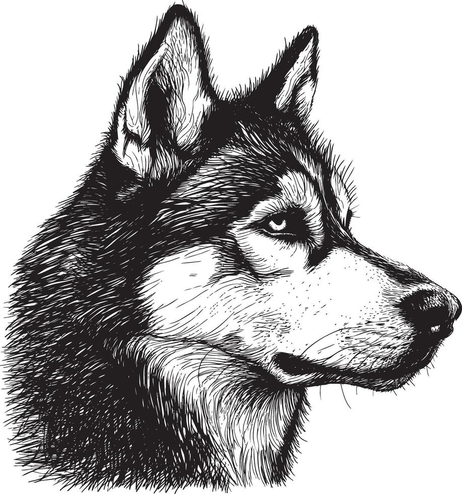 Husky black ink illustration vector