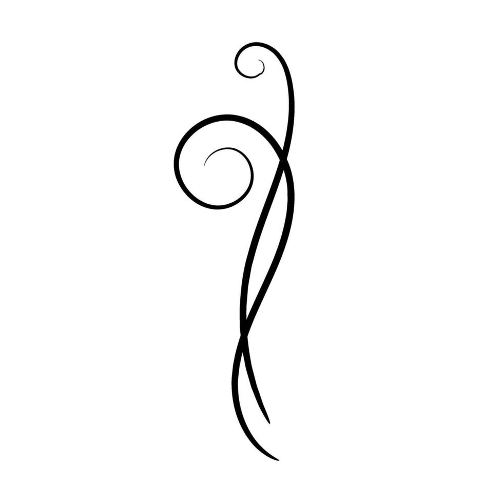 Calligraphic design element. Decorative swirl. illustration. vector