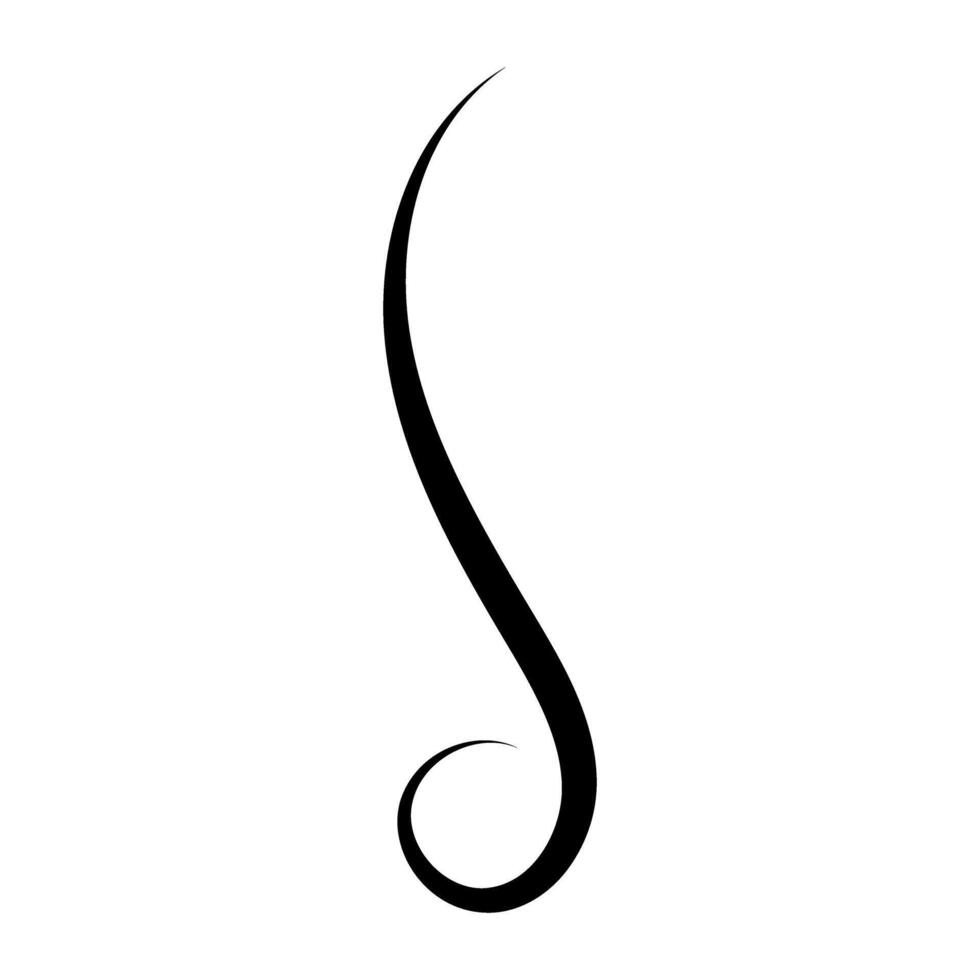 Curly hair icon isolated on white background. Hair salon symbol. vector