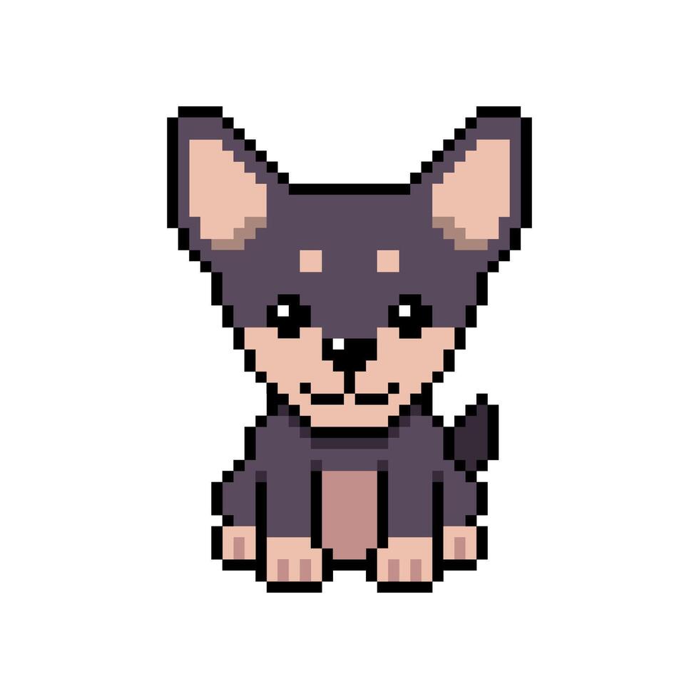 Pixel art cute chihuahua dog in retro style for design. vector