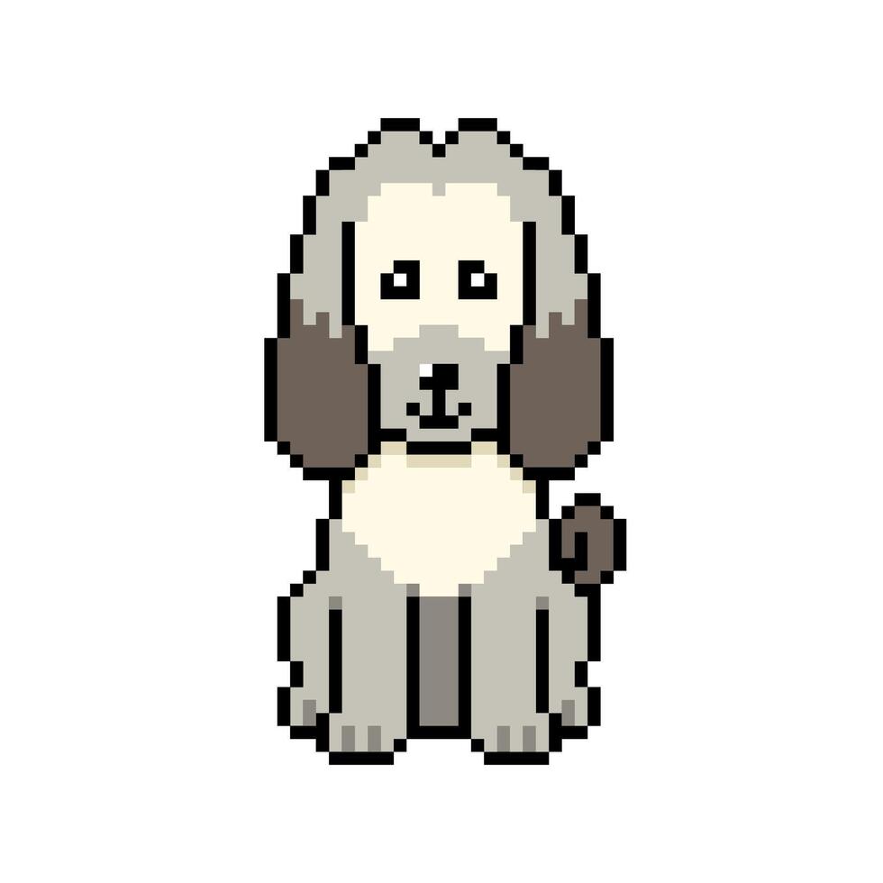 Pixel art cute afghan hound dog in retro style for design. vector