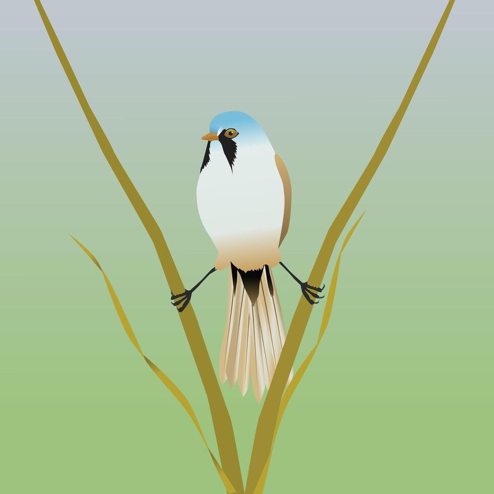 A digital illustration of a bearded reedling. The bird is in a kind of spread position between two reed stalks. vector