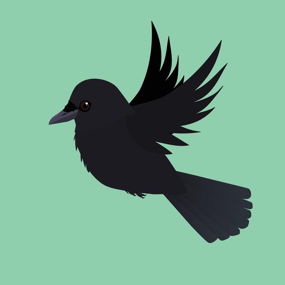 A flying crow illustration. Cut out on a green background. vector