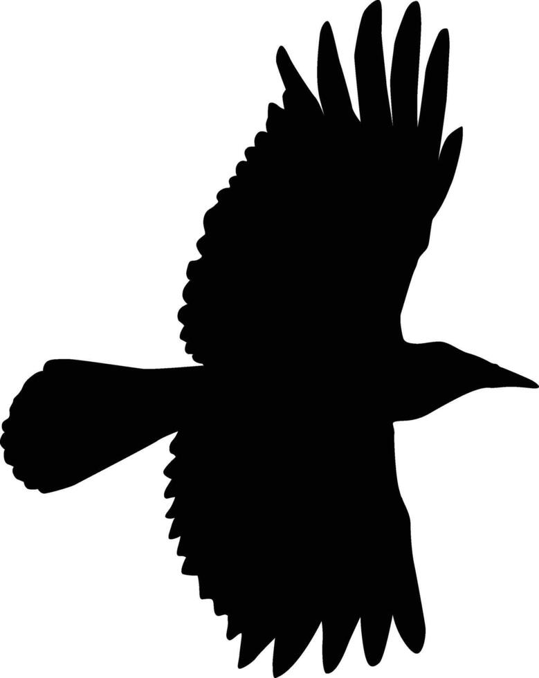 Flying crow silhouette vector